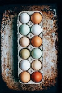 12 colorful eggs in a carton