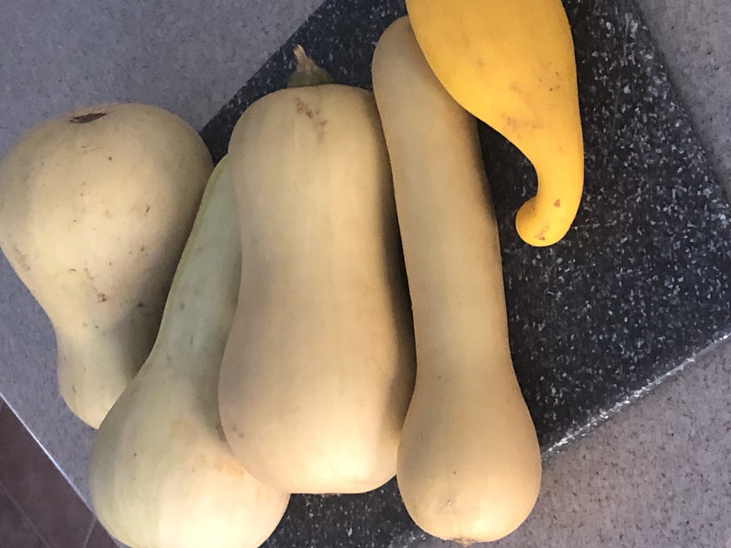 butternut squash and gourds